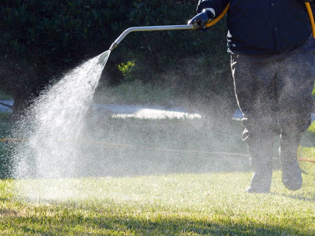 Person spraying water on grass with a hose, wearing dark clothing.